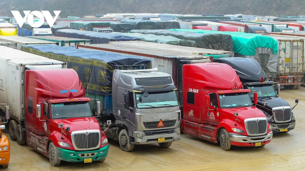 Ùn tắc ở cửa khẩu biên giới: Đã đến lúc nhìn lại chất lượng hàng hóa ảnh 2