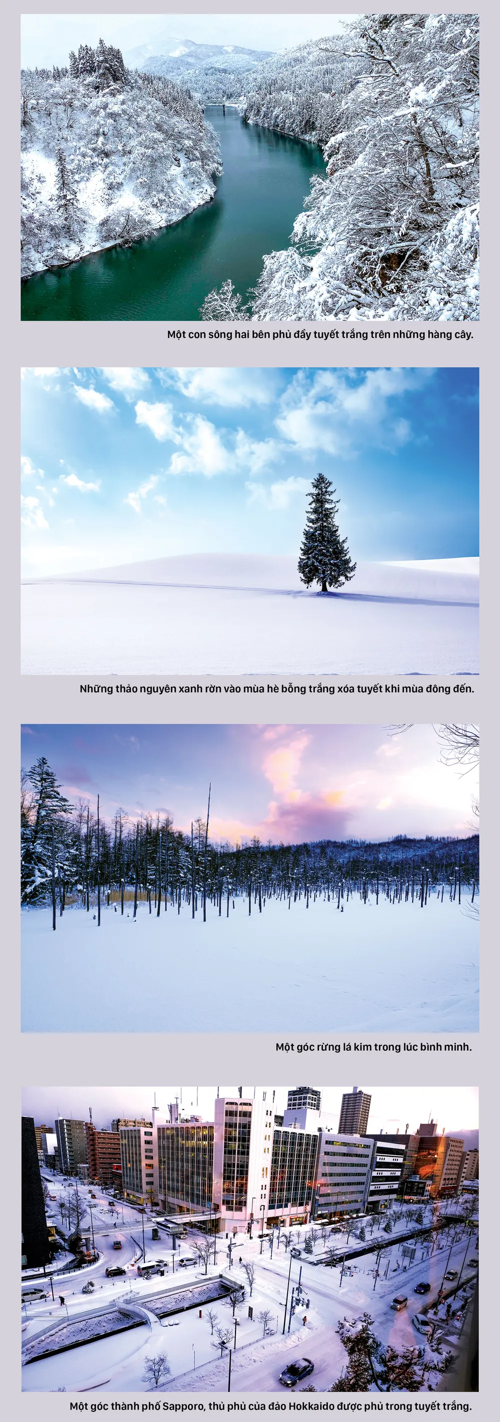 Đảo Hokkaido - Xứ sở tuyết trắng ảnh 1