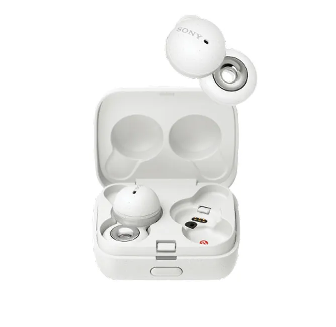 Trọn bộ Sony đậm chất riêng ảnh 2