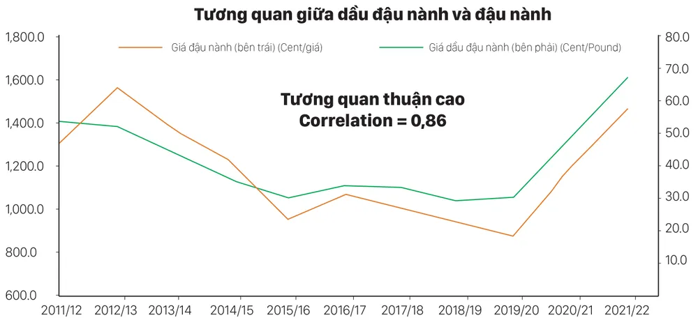 Thị trường dầu đậu nành lo ngại thiếu nguồn cung ảnh 3