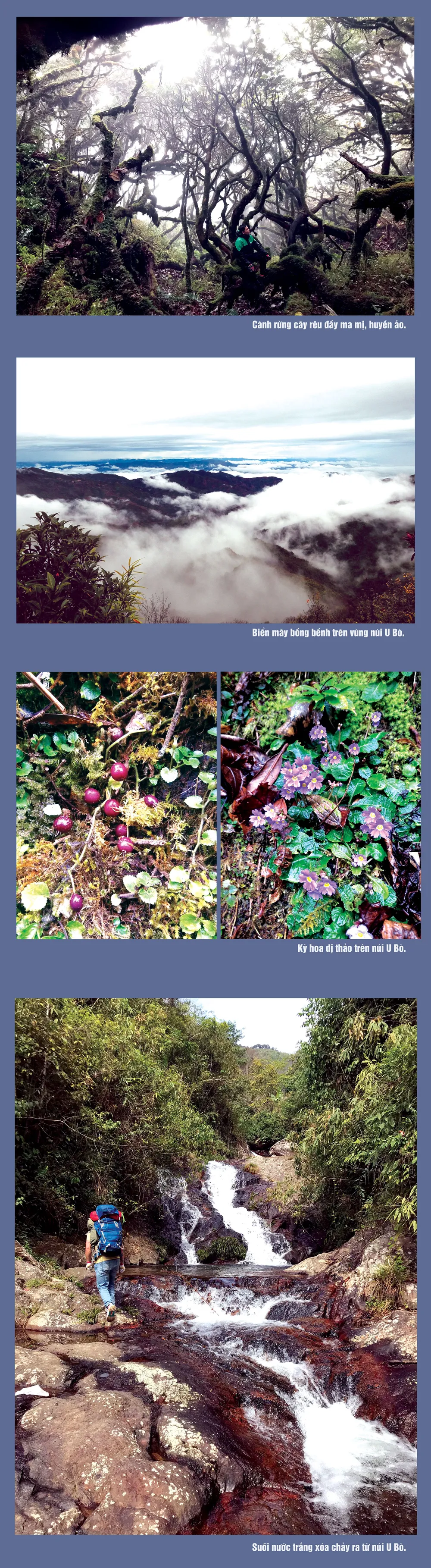 Ma mị núi U Bò ảnh 2