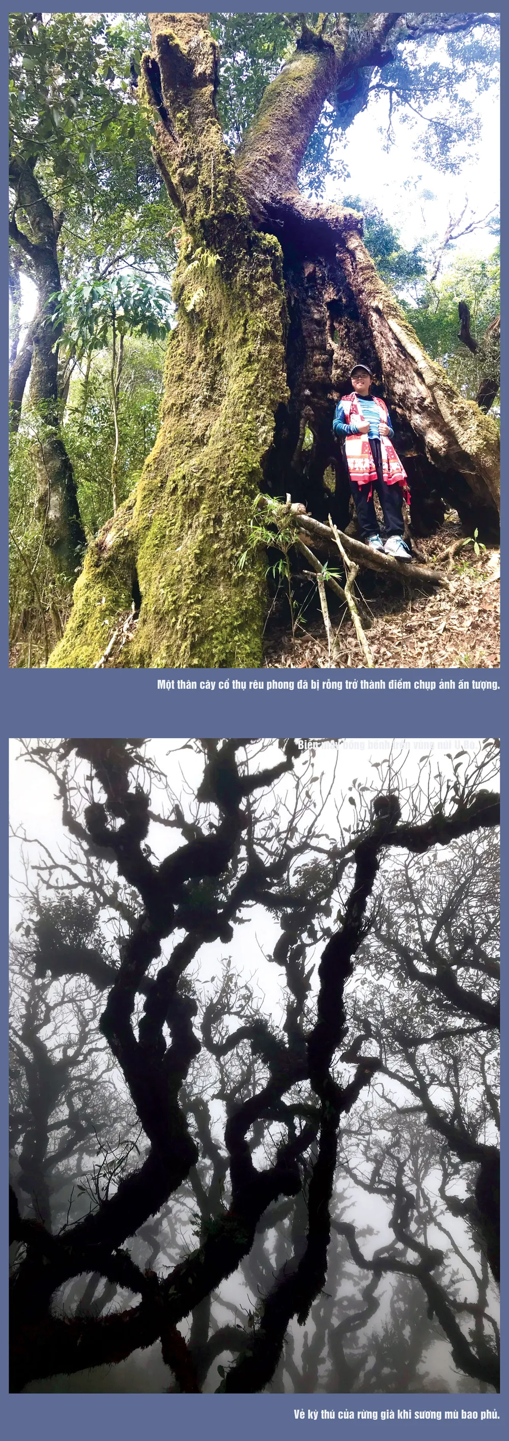 Ma mị núi U Bò ảnh 1