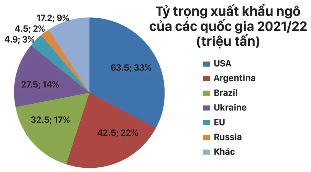 Nguy cơ thiếu hụt cung, giá ngô sẽ tăng? ảnh 2