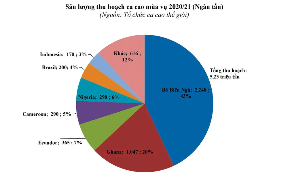 Thị trường ca cao thiếu hụt nguồn cung ảnh 2
