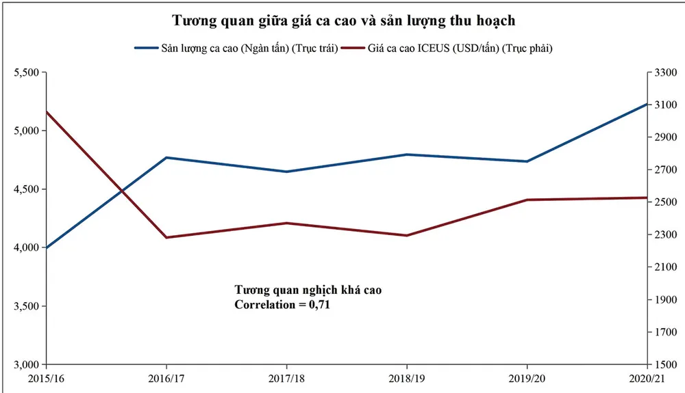 Thị trường ca cao thiếu hụt nguồn cung ảnh 1