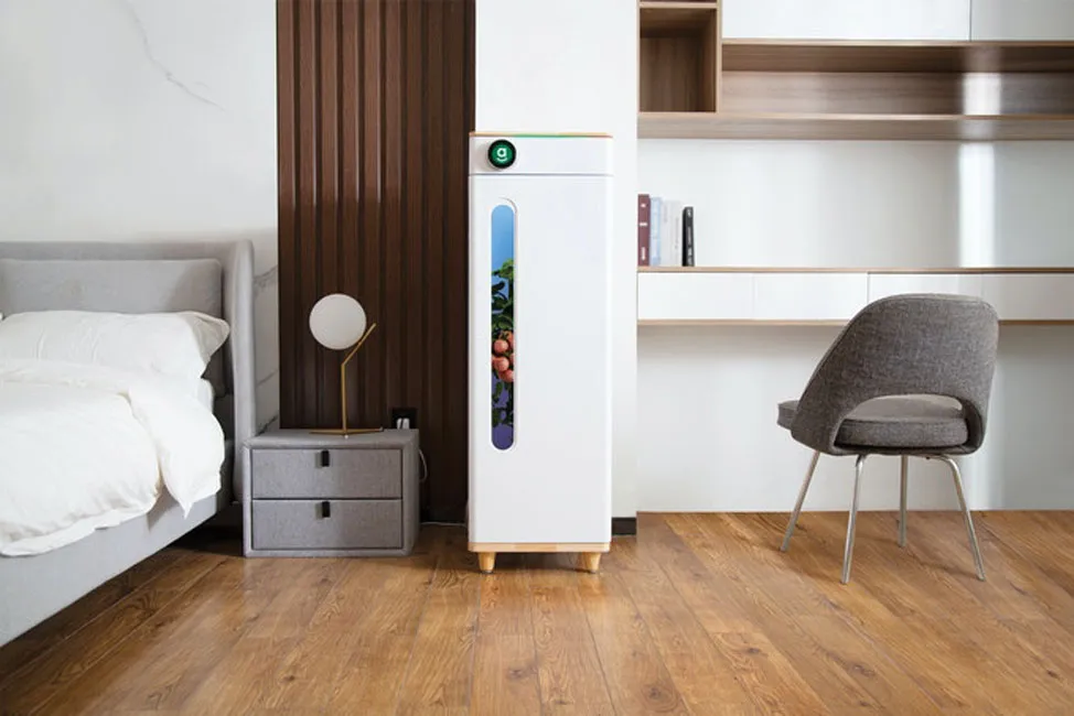 An tâm chăm sóc gia đình ảnh 2