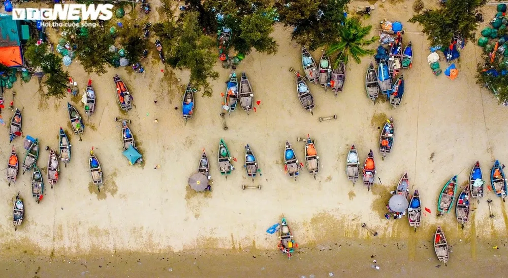 Những thuyền neo đậu dọc bãi D đường Hồ Xuân Hương đều đánh bắt gần bờ và đi ít ngày nên lượng hải sản thu về rất tươi.