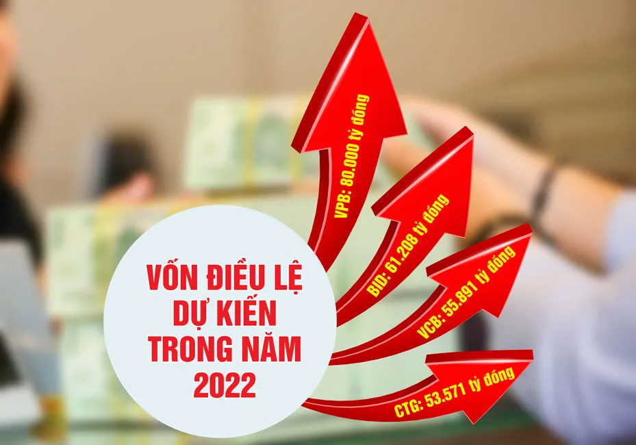 Ngân hàng tư nhân đang bứt tốc ảnh 2