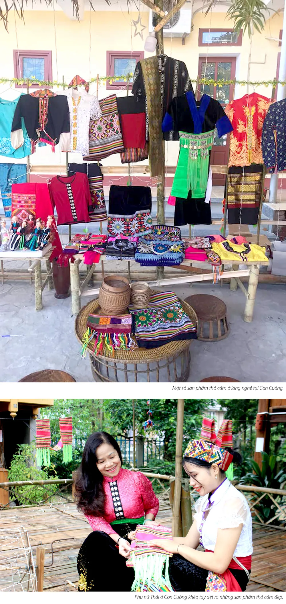 Thiên đường xanh xứ Nghệ ảnh 5