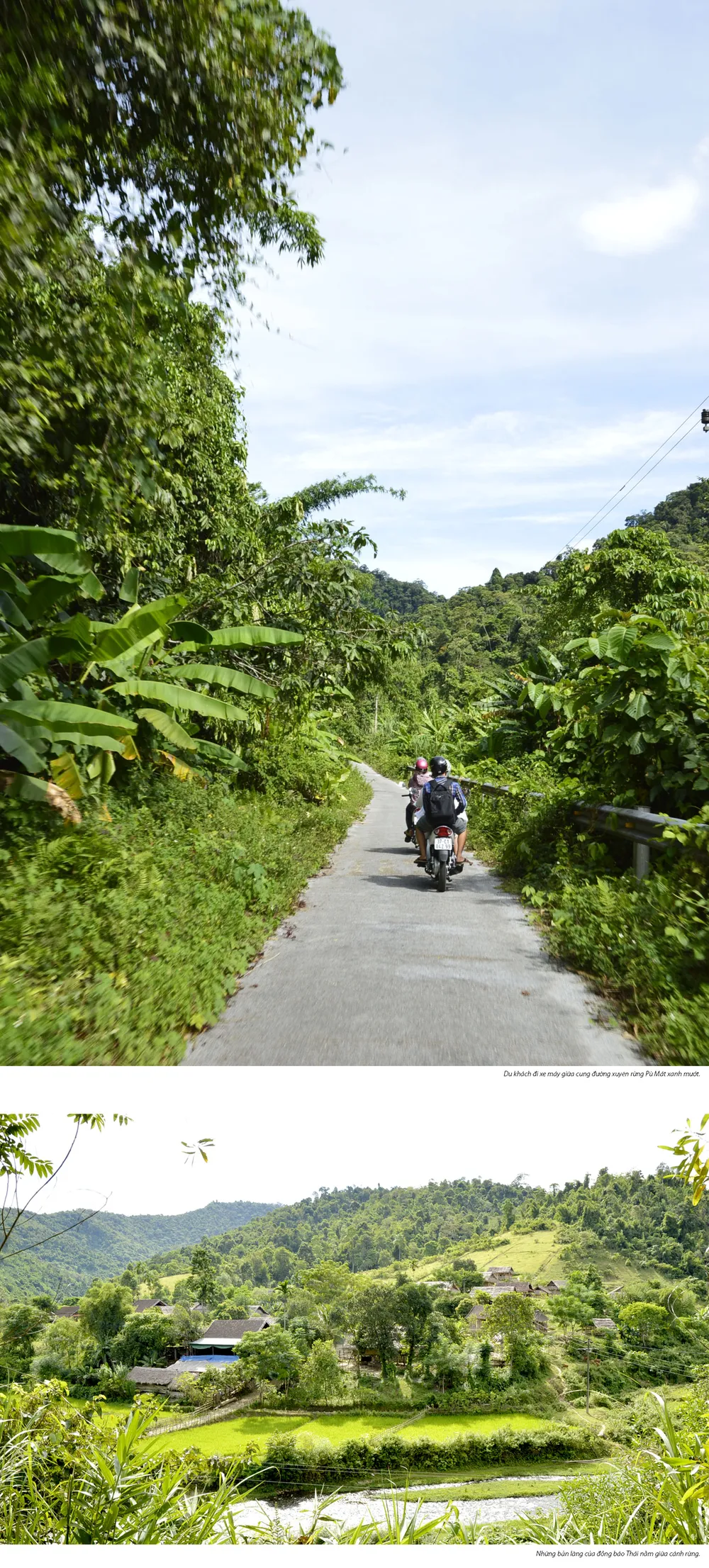 Thiên đường xanh xứ Nghệ ảnh 2