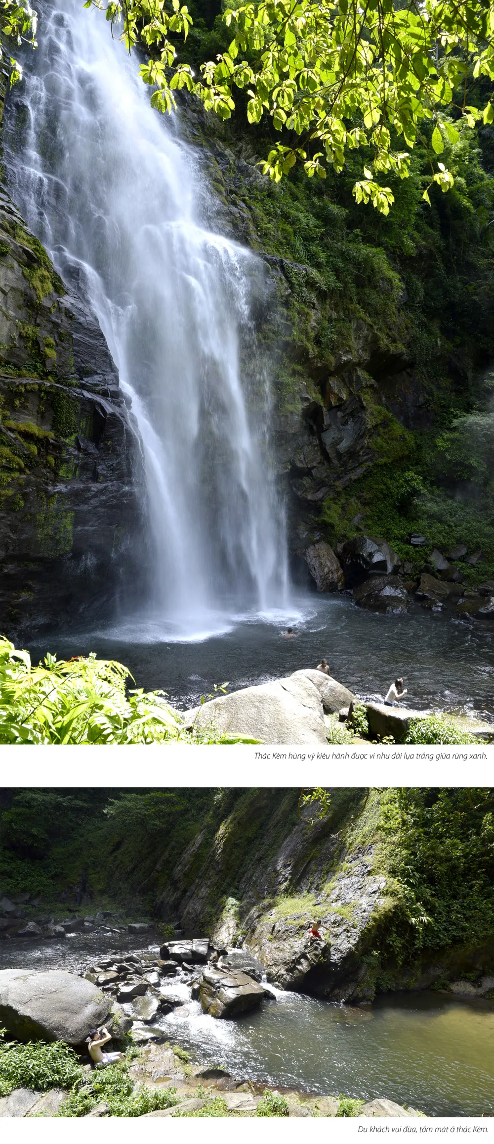 Thiên đường xanh xứ Nghệ ảnh 3