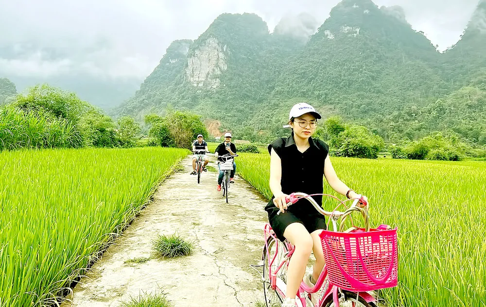 Giải bài toán nhân lực ngành du lịch ảnh 1