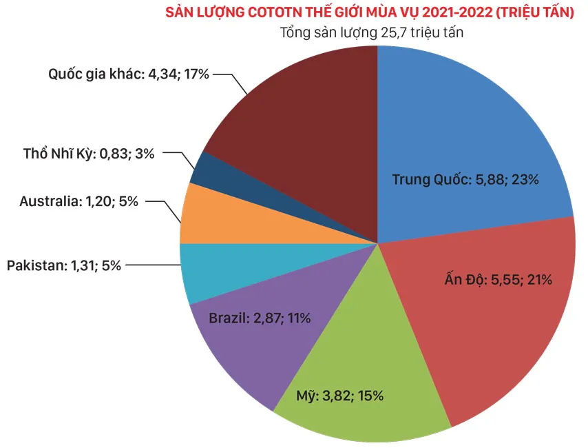 Thị trường bông vải cân bằng vụ 2022-2023 ảnh 1
