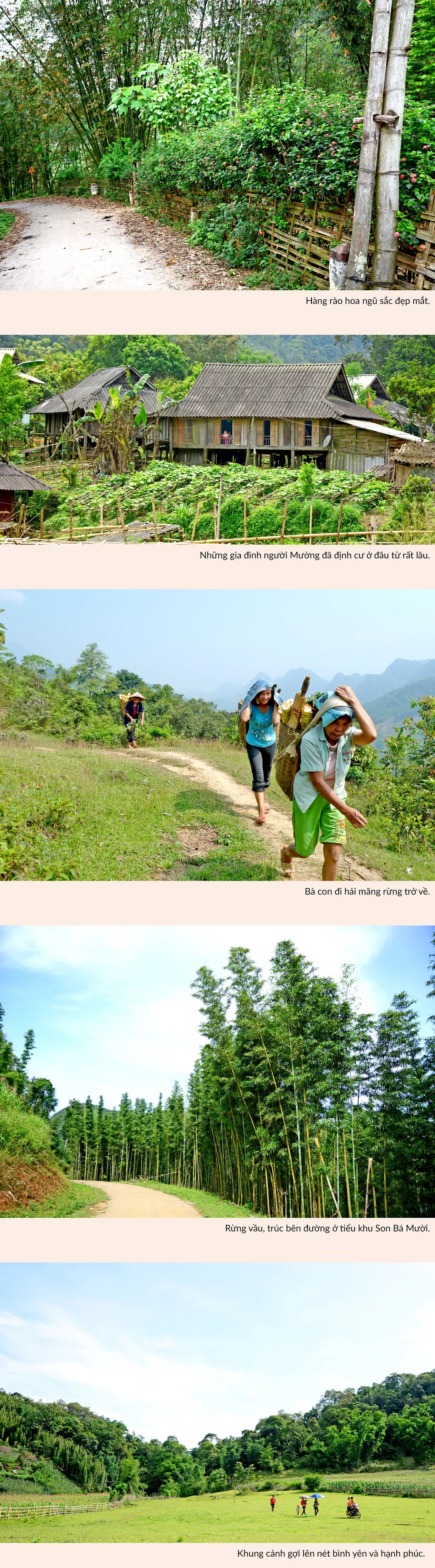 Du hí cung đường trên mây ảnh 2