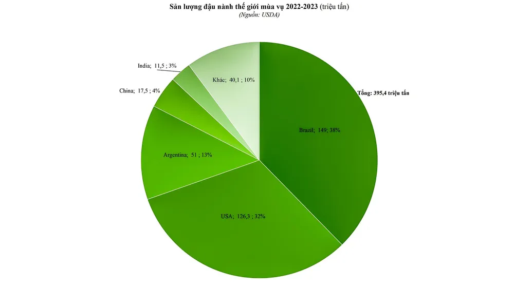 Sản lượng đậu nành 2022-2023 Cung tăng, cầu giảm ảnh 1