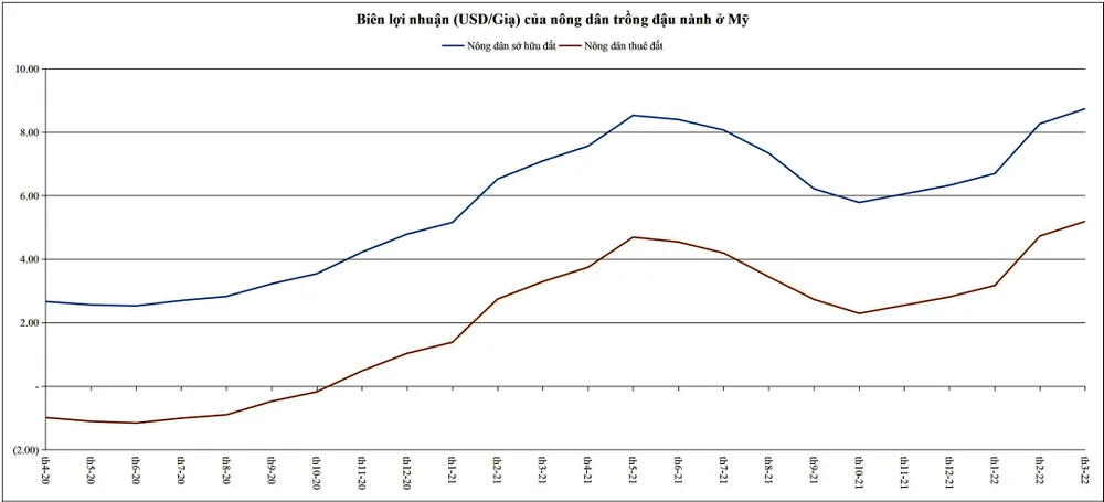 Sản lượng đậu nành 2022-2023 Cung tăng, cầu giảm ảnh 2