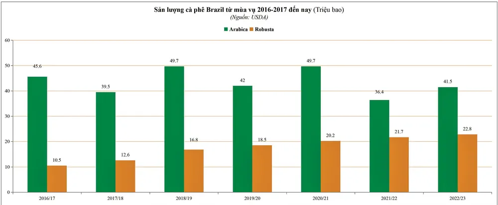 Thị trường dư cung, áp lực giảm giá cà phê ảnh 2