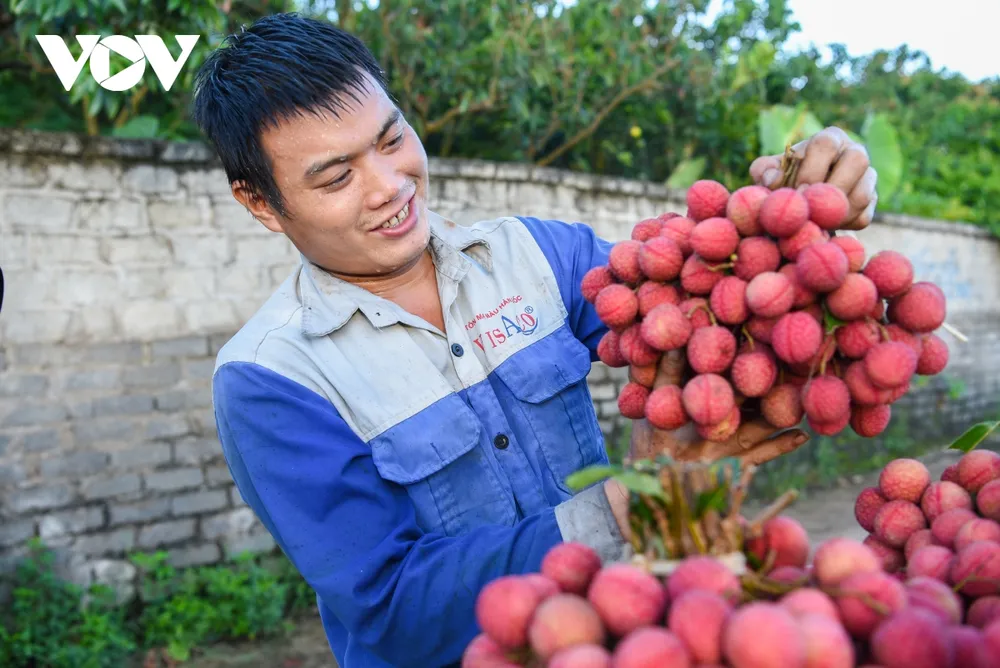 theo chan nguoi dan luc ngan di hai vai tu luc nua dem hinh anh 8