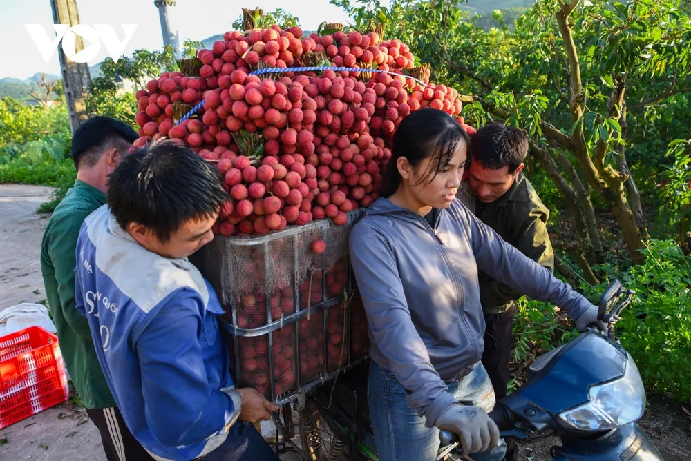 theo chan nguoi dan luc ngan di hai vai tu luc nua dem hinh anh 9
