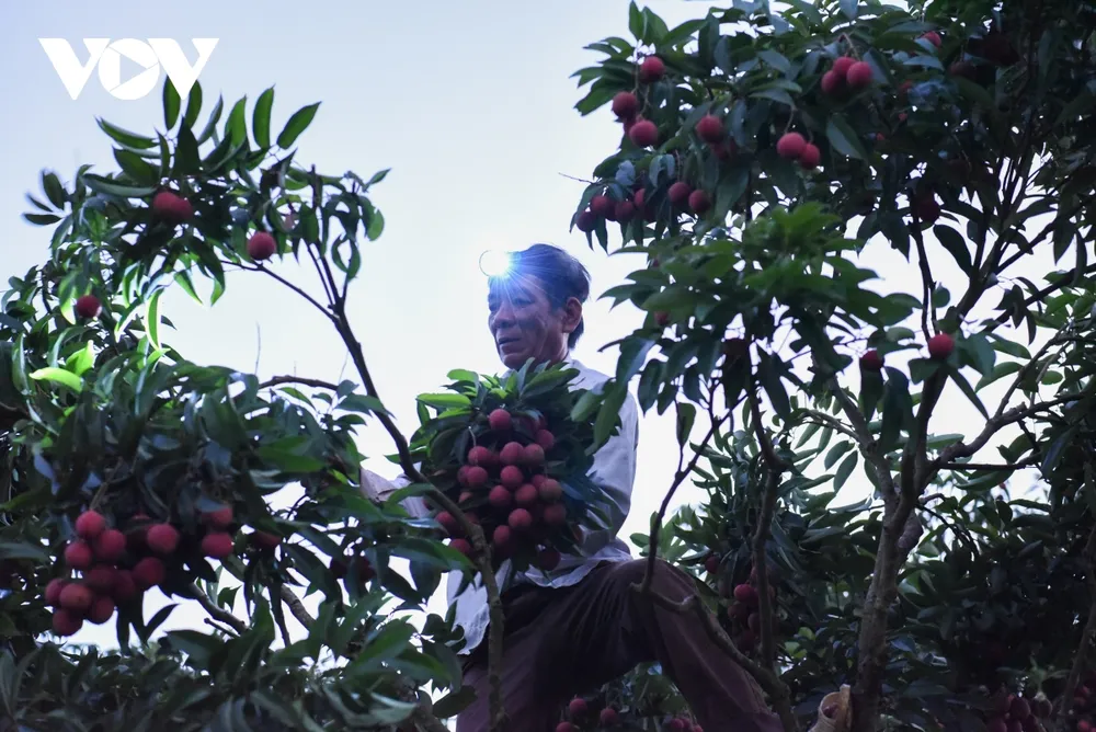 theo chan nguoi dan luc ngan di hai vai tu luc nua dem hinh anh 4