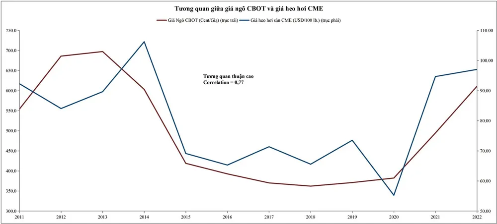 Thị trường heo hơi tiếp tục tăng giá ảnh 3