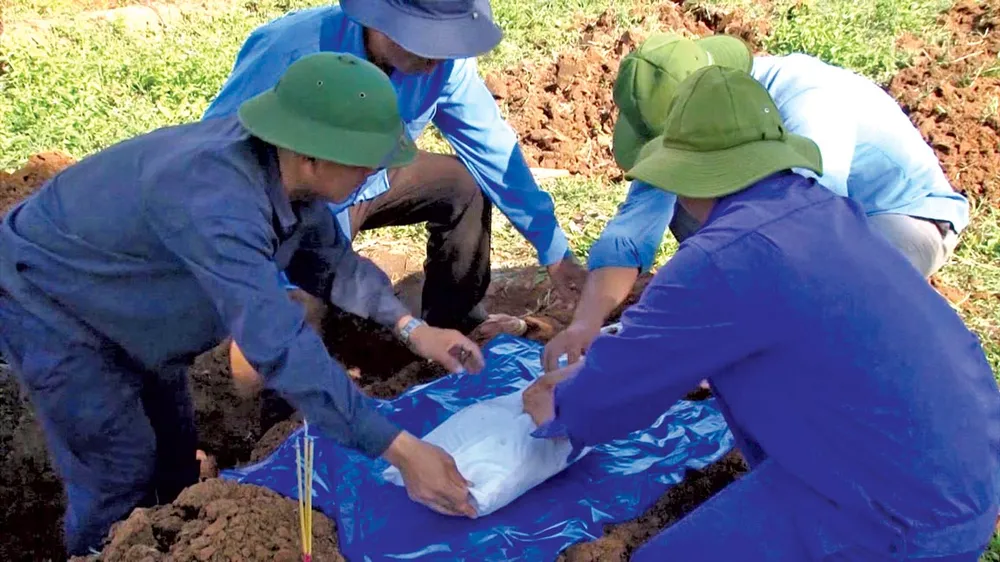 Đi tìm đồng đội ở đất nước triệu voi ảnh 2