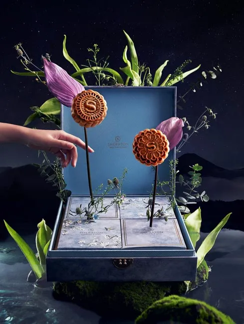 Nguyệt dạ cho ngày Tết trông trăng ảnh 3