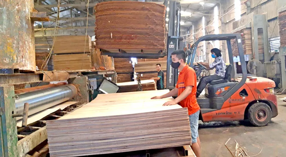 Có chiến lược bài bản khi tham gia các vụ kiện phòng vệ thương mại ảnh 1