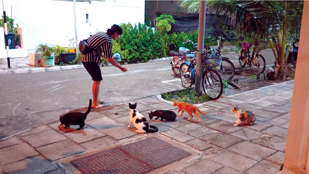 Quốc đảo Maldives: Những điều thú vị ảnh 2