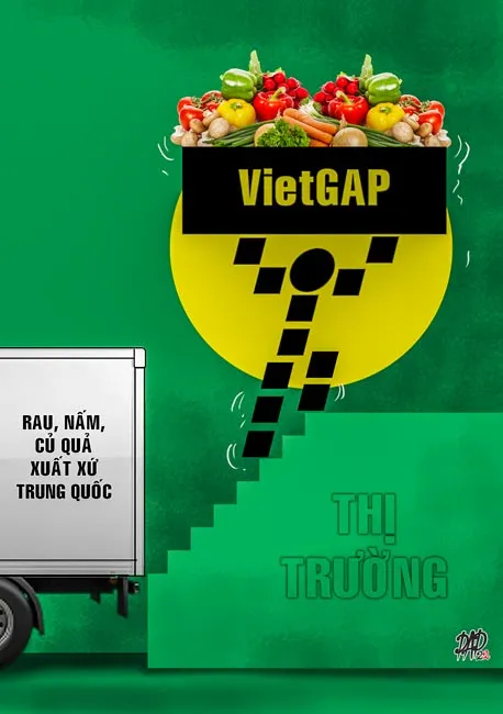 Hoang mang “rau sạch” ảnh 1