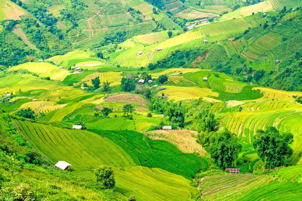 Say đắm non cao Bắc Yên ảnh 2