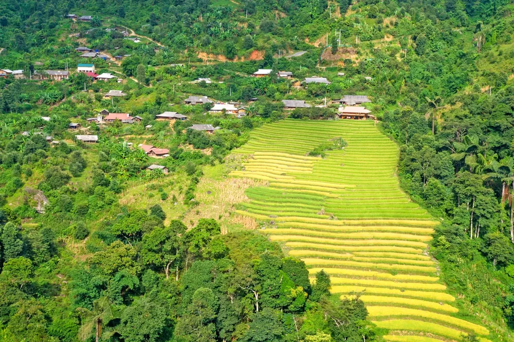 Say đắm non cao Bắc Yên ảnh 4