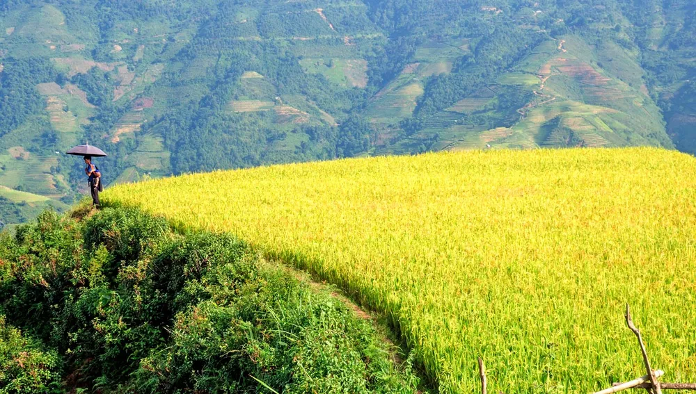 Say đắm non cao Bắc Yên ảnh 5