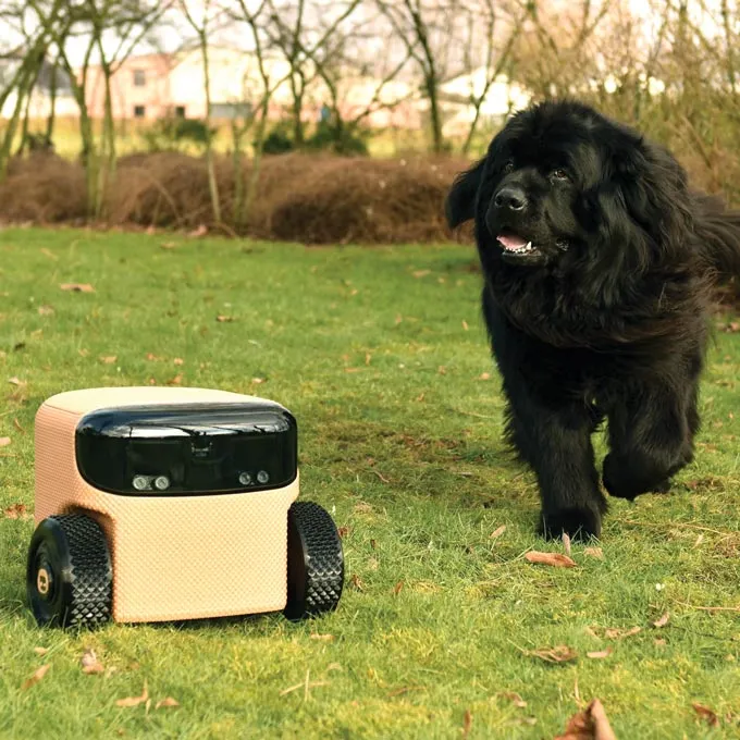 Quản gia Robot ảnh 1