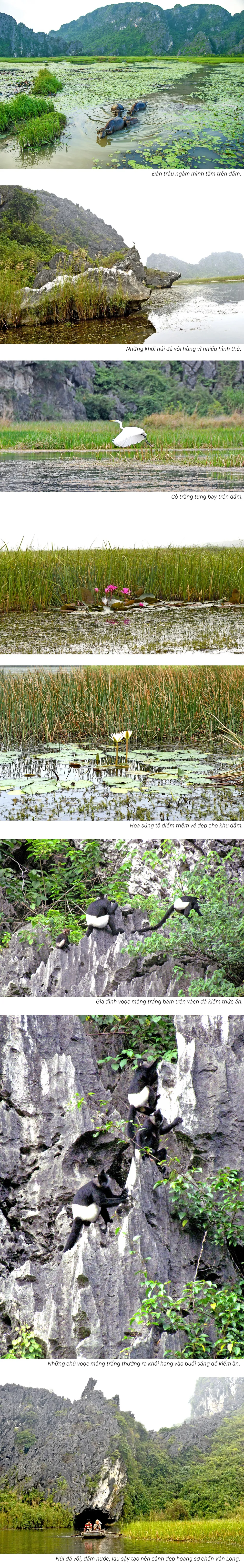 Bồng bềnh đầm Vân Long ảnh 2