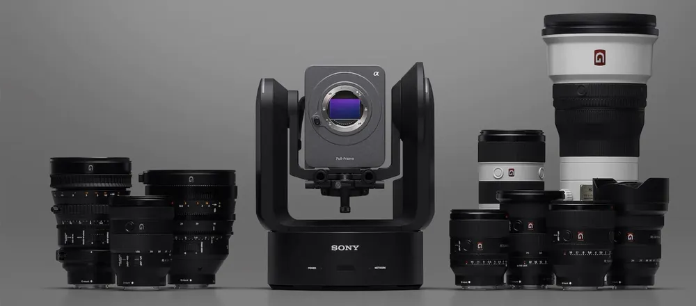 Lưu giữ khoảnh khắc mùa cuối năm ảnh 1