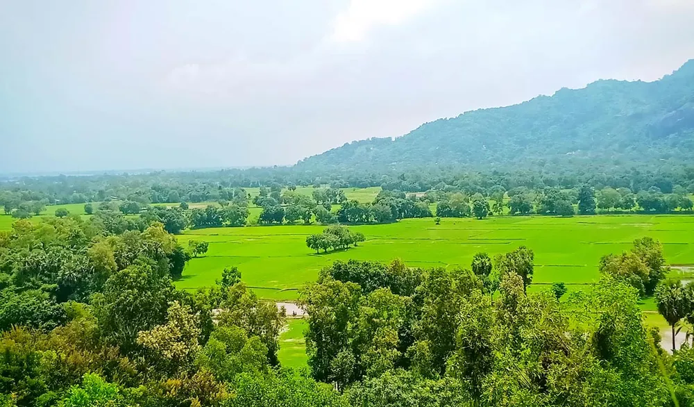 Cánh đồng thơ mộng ở vùng Bảy Núi.