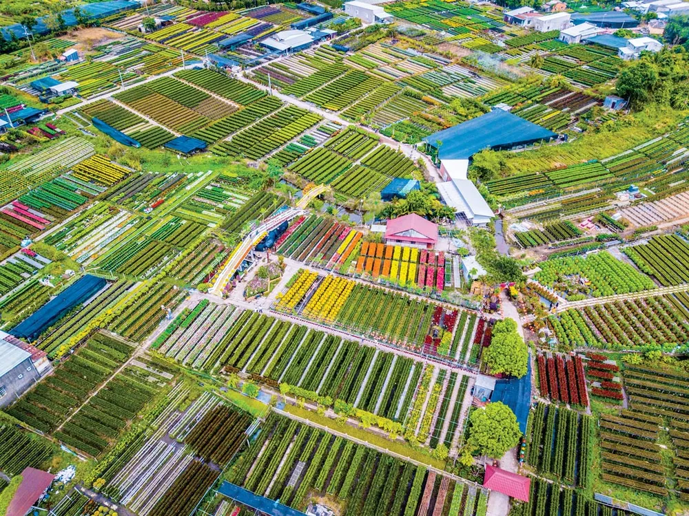 Làng hoa Sa Đéc nhìn từ trên cao.