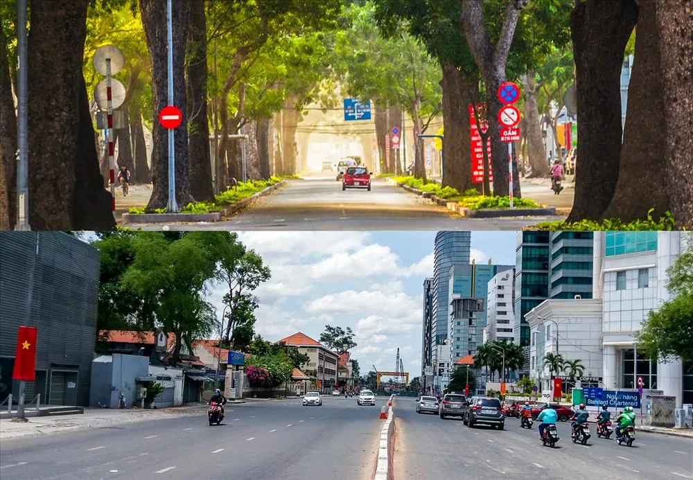 Những hình ảnh con đường rợp bóng cây xanh như thế này ở TPHCM ngày càng hiếm, hay nói đúng hơn chỉ còn là dĩ vãng. 