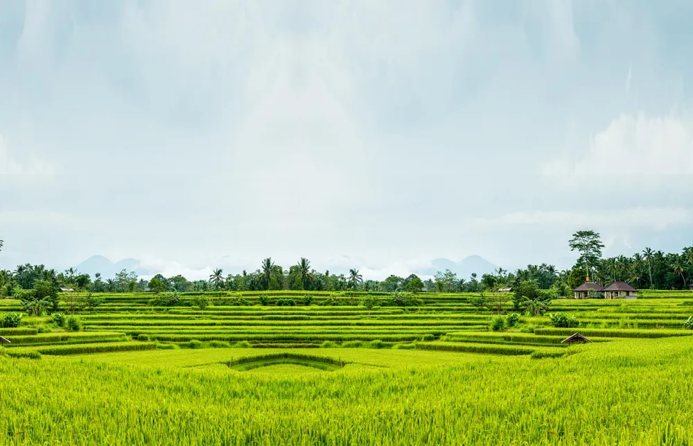 Tản mạn người nhà quê 