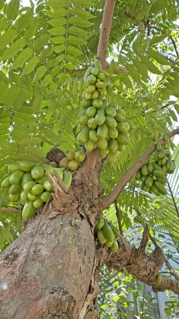 Ký ức của ngày xưa.