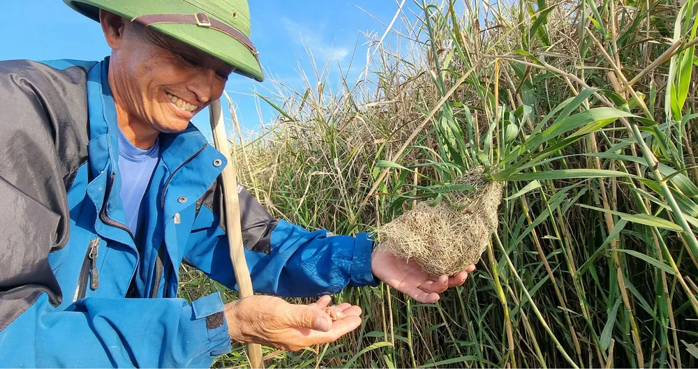 Ngày nay nhiều loài chim di cư trở về Hạc Hải nên nhiều người dân bảo tồn, chăm sóc, khoanh nuôi để bảo vệ hệ sinh thái xanh.Ảnh: MINH PHONG