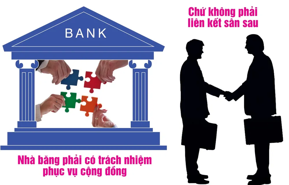 TS Lê Đạt Chí: 'Sở hữu chéo ngân hàng ngày càng tinh vi' ảnh 2