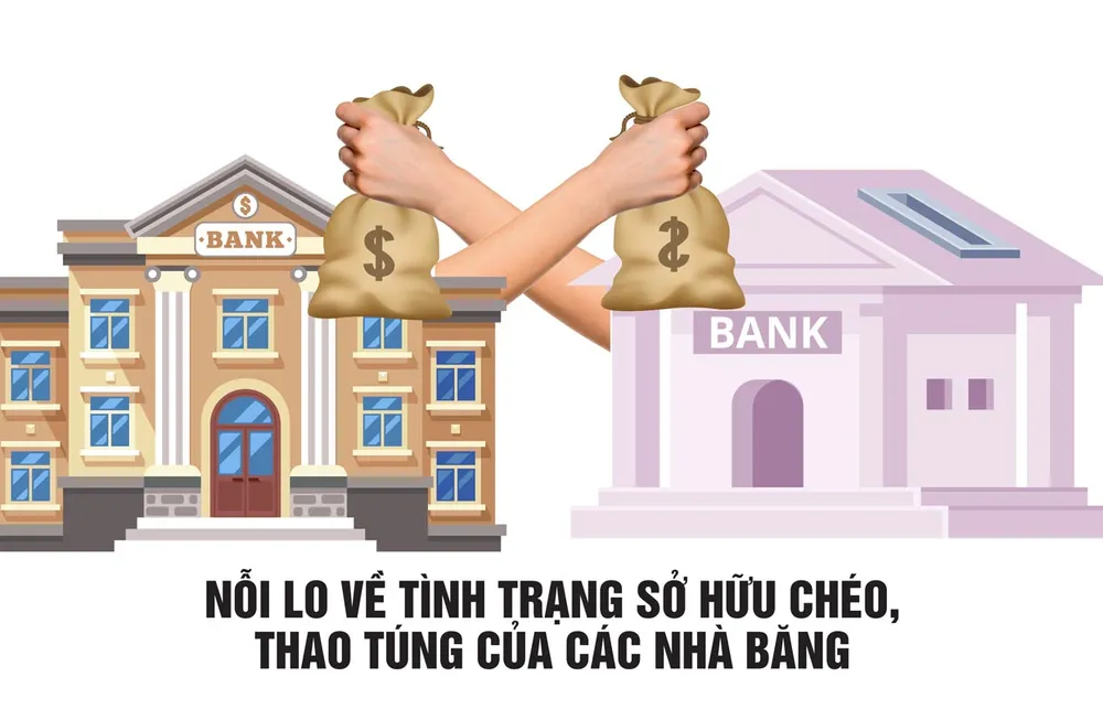 TS Lê Đạt Chí: 'Sở hữu chéo ngân hàng ngày càng tinh vi' ảnh 3