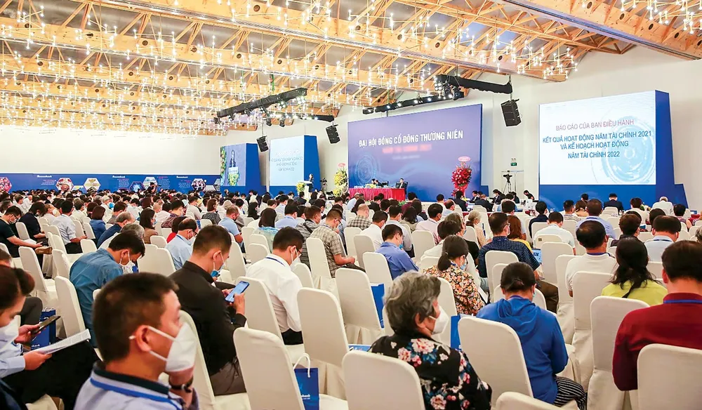 Vẫn tổ chức ĐHCĐ, vẫn phát biểu ý kiến khuất tất trong HĐQT, nhưng cổ đông nhỏ thường không có tiếng nói chung để ra nghị quyết.