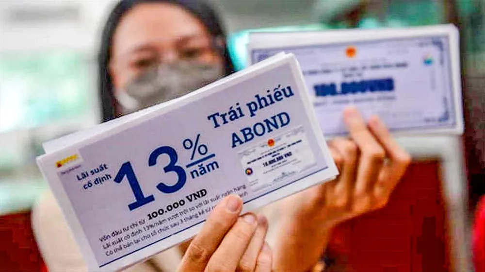 Trái phiếu theo đề xuất của VAFI có triệt tiêu trái phiếu chính phủ? ảnh 2