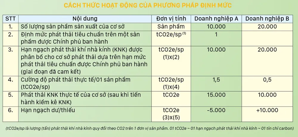 Thị trường carbon là 'chìa khóa' cho mục tiêu net zero ảnh 2