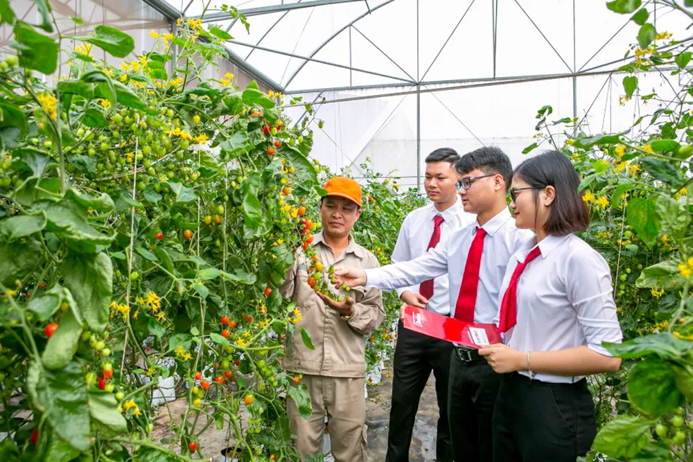 Agribank ưu tiên nguồn vốn cho các dự án nông nghiệp sạch, nông nghiệp công nghệ cao. Agribank ưu tiên nguồn vốn cho các dự án nông nghiệp sạch, nông nghiệp công nghệ cao.