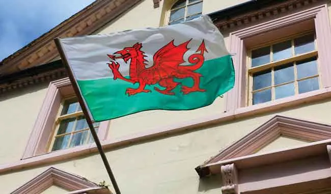 go-dragon-hunting-wales-welsh-flag-9872.jpg