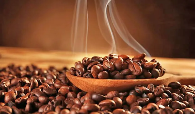 Thị trường cà phê bước vào mùa tăng giá 